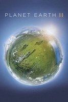 地球脉动 第二季 Planet Earth Season 2