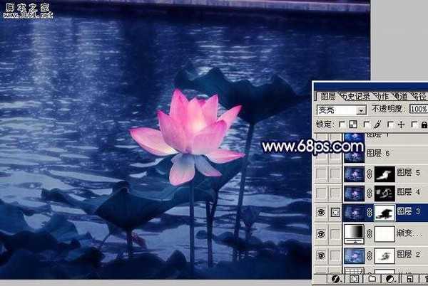 Photoshop 紫色荷花