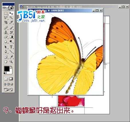 Photoshop照片合成：玫瑰花瓣围绕的女孩