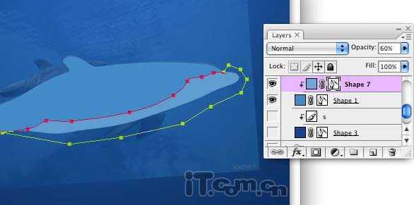 Photoshop将真实海豚照片制作成可爱的卡通海豚图片