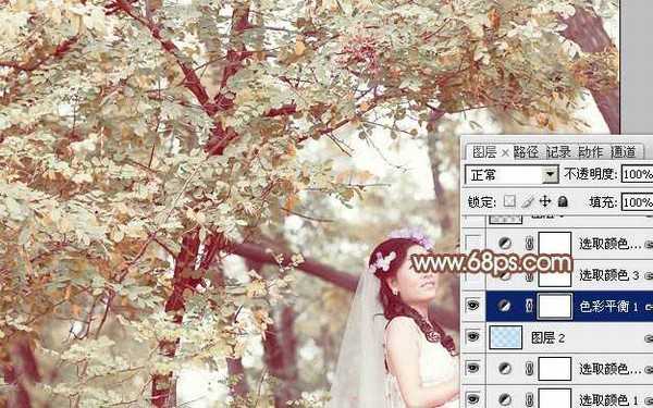 Photoshop将树林婚片增加上清爽的淡橙色效果