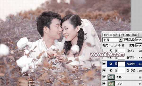 Photoshop为玫瑰园婚照调制出蓝紫中性色