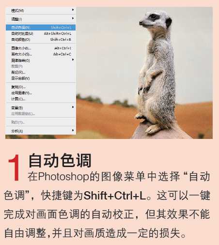 Photoshop CS6教你在JPEG文件格式下进行色彩校正
