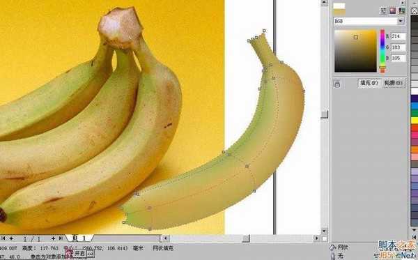 CorelDraw(CDR)利用网格工具模仿制作逼真香蕉实例教程详解