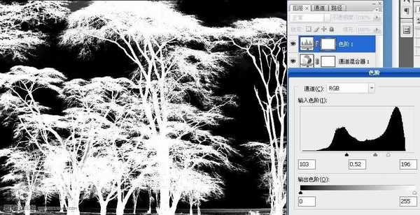 Photoshop利用通道混合器工具抠出复杂的树林教程