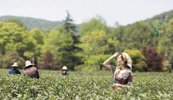 ps如何制作油画效果？PS模拟重色调油画风格人像照片教程