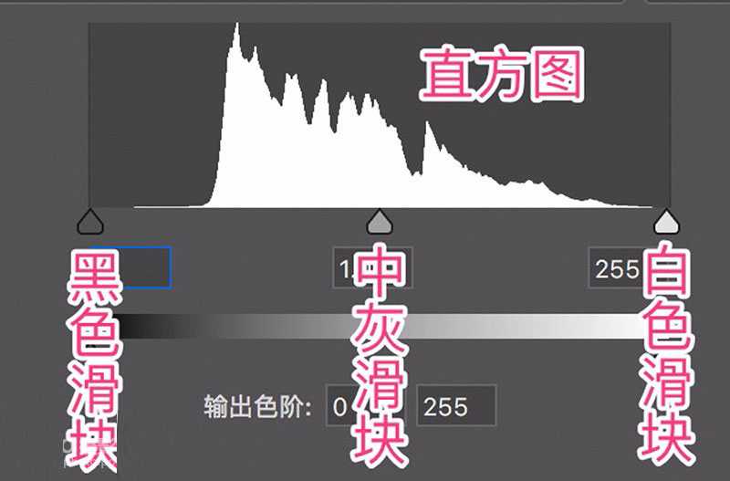ps色阶在哪里？如何使用PS色阶工具调整照片曝光度？