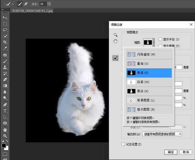 ps精细抠图利用调整边缘快速抠出白色可爱猫咪图片教程