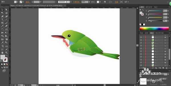 ai怎么绘制翠鸟插画图? ai画绿色小鸟的教程