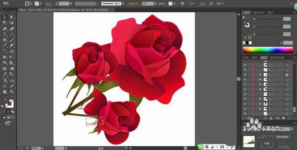 ai怎么设计一束逼真的玫瑰花? ai玫瑰花画法